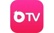 石榴视界电脑版段首LOGO
