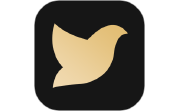掌鸽电脑版段首LOGO