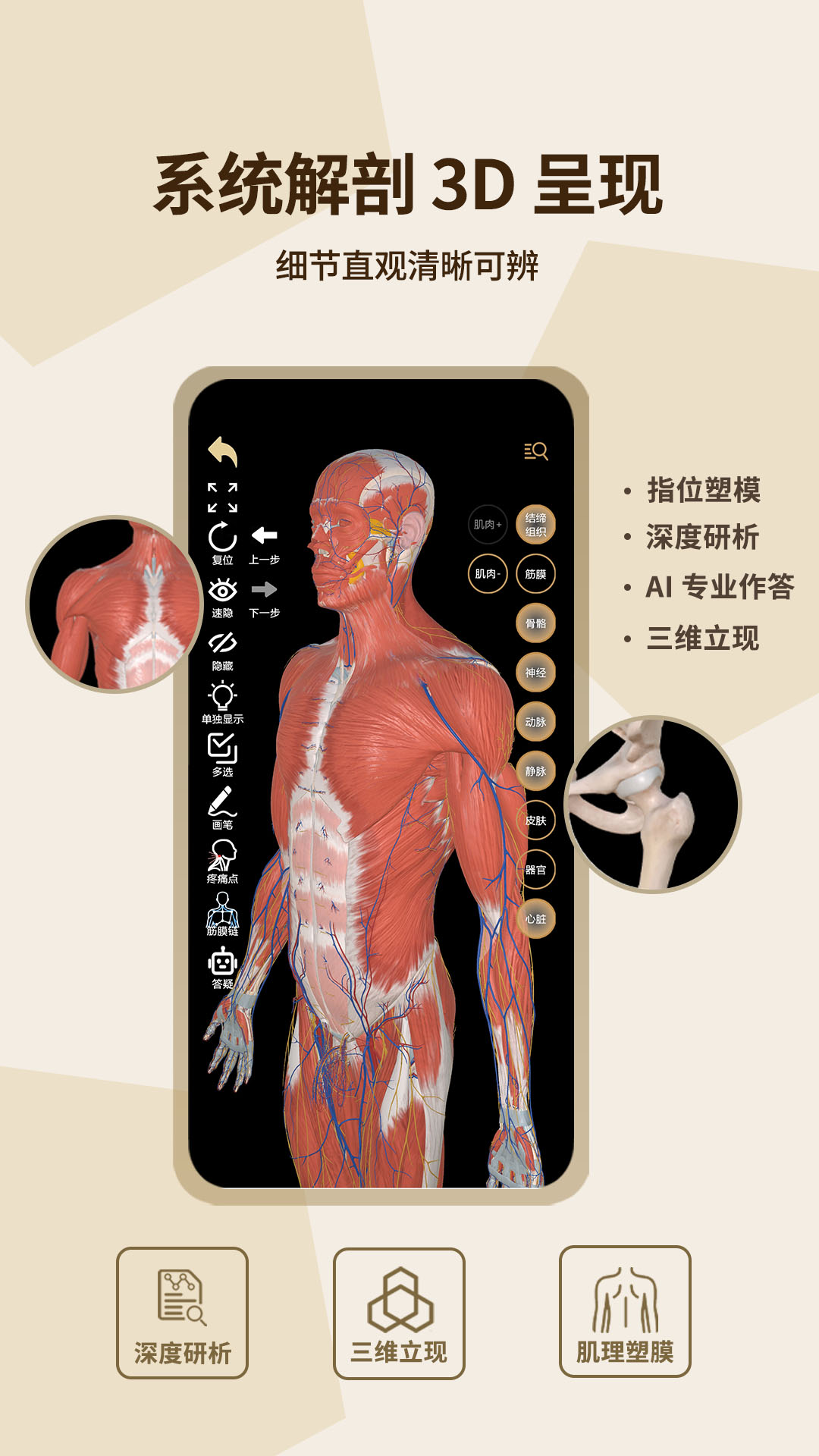 石榴解