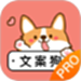文案伴侣