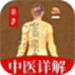 穴位经脉详解