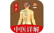 穴位经脉详解电脑版段首LOGO