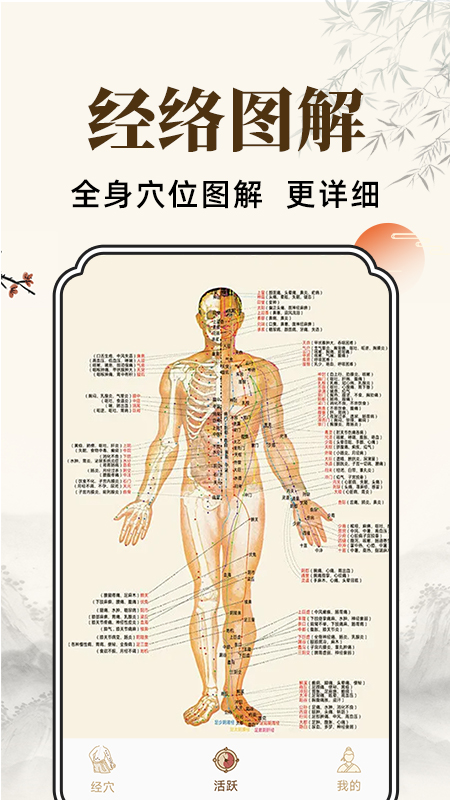 穴位经脉详解