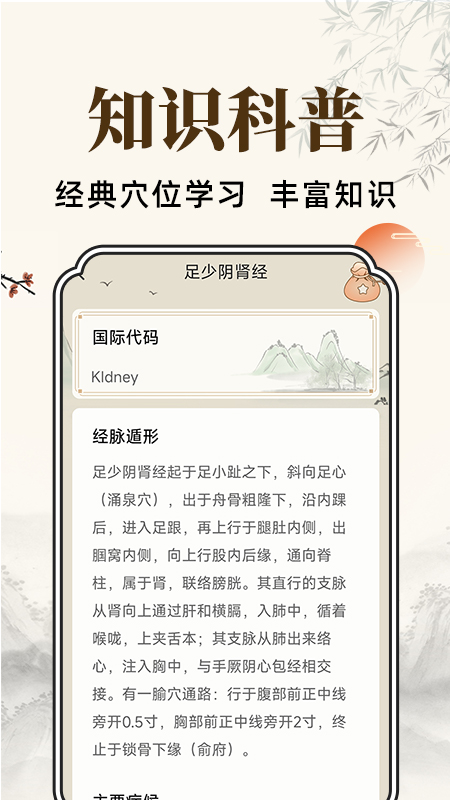 穴位经脉详解