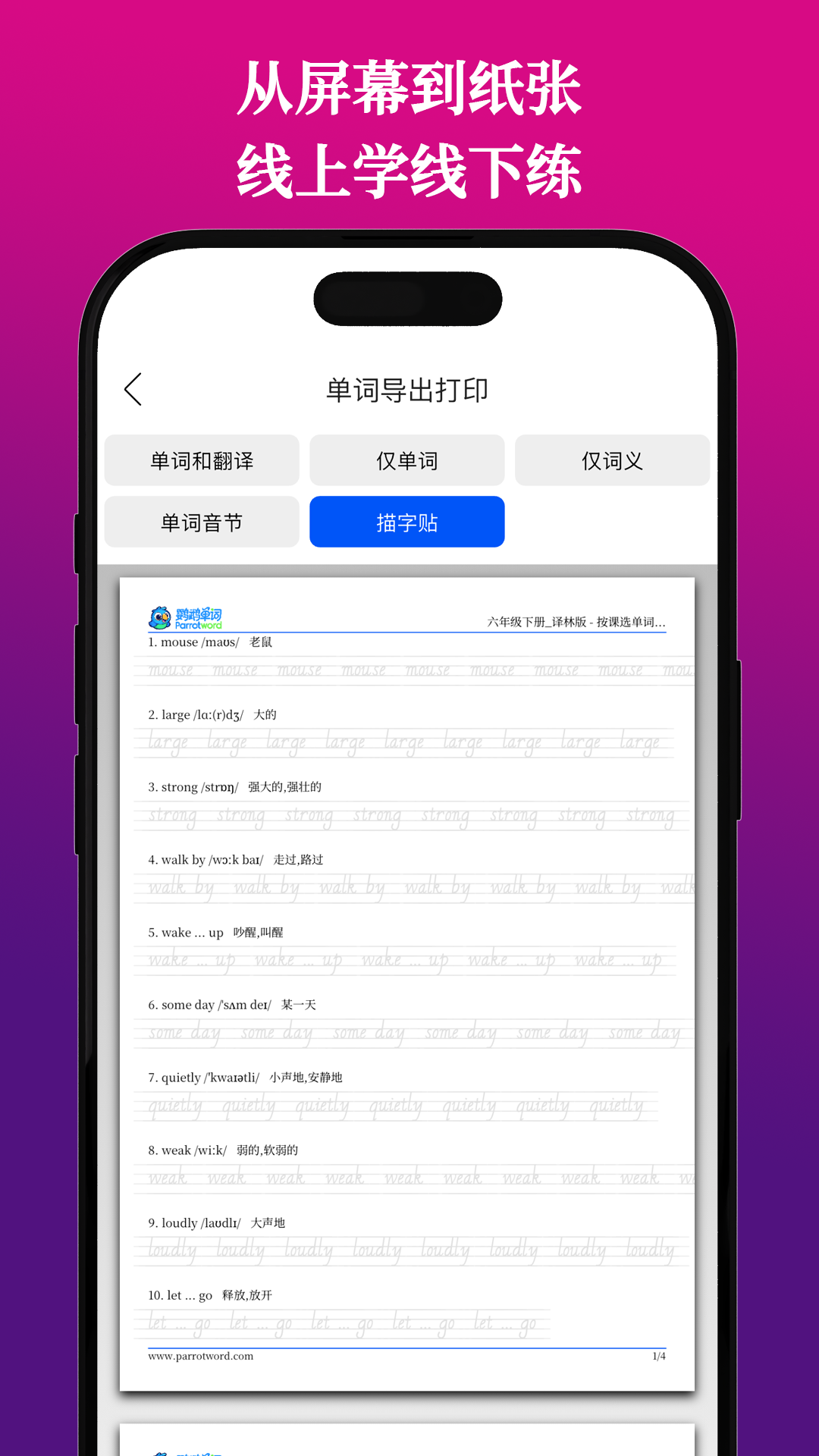 鹦鹉单词