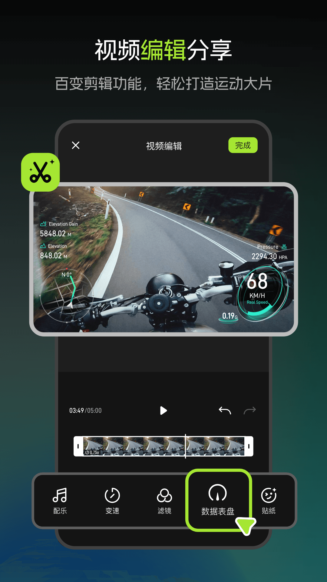 觅豹