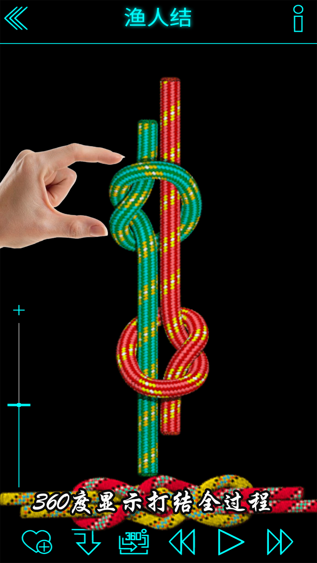 绳结模拟助手3D