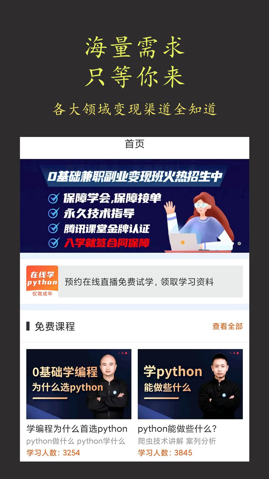 在线学python