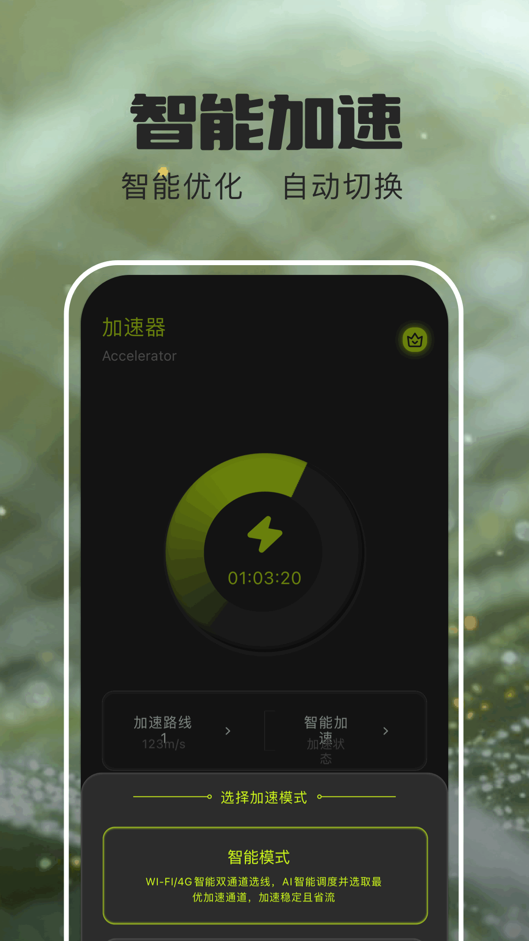 西柚加速器电脑版截图