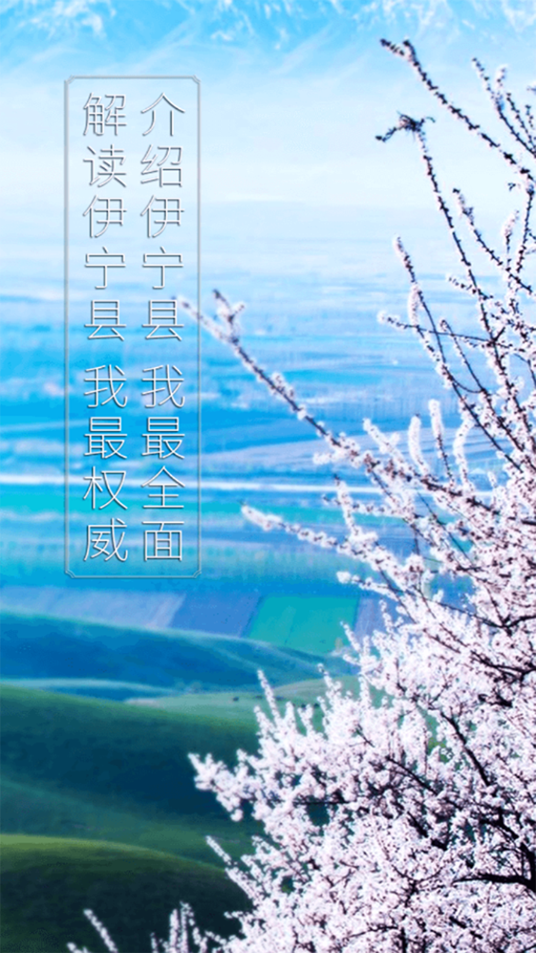 杏乡好地方电脑版截图