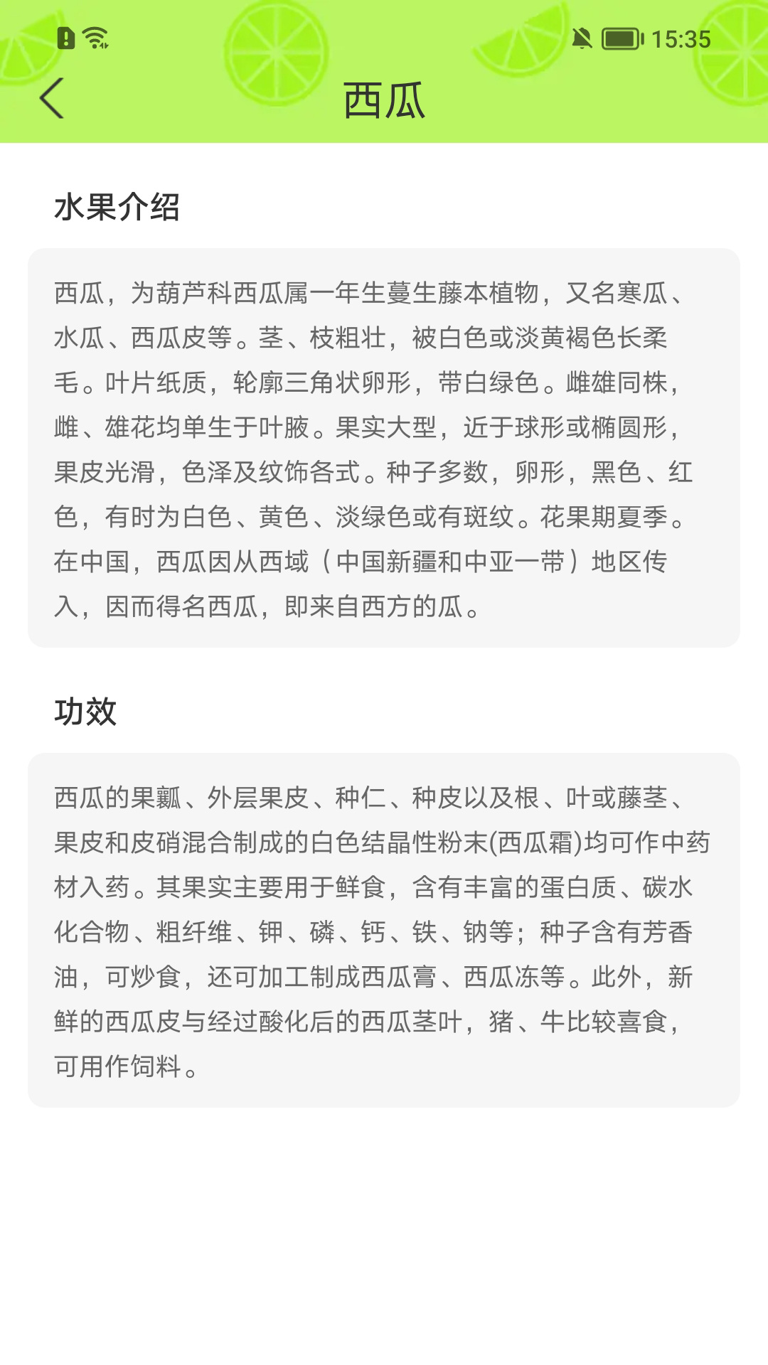 西瓜时光