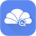 云智查