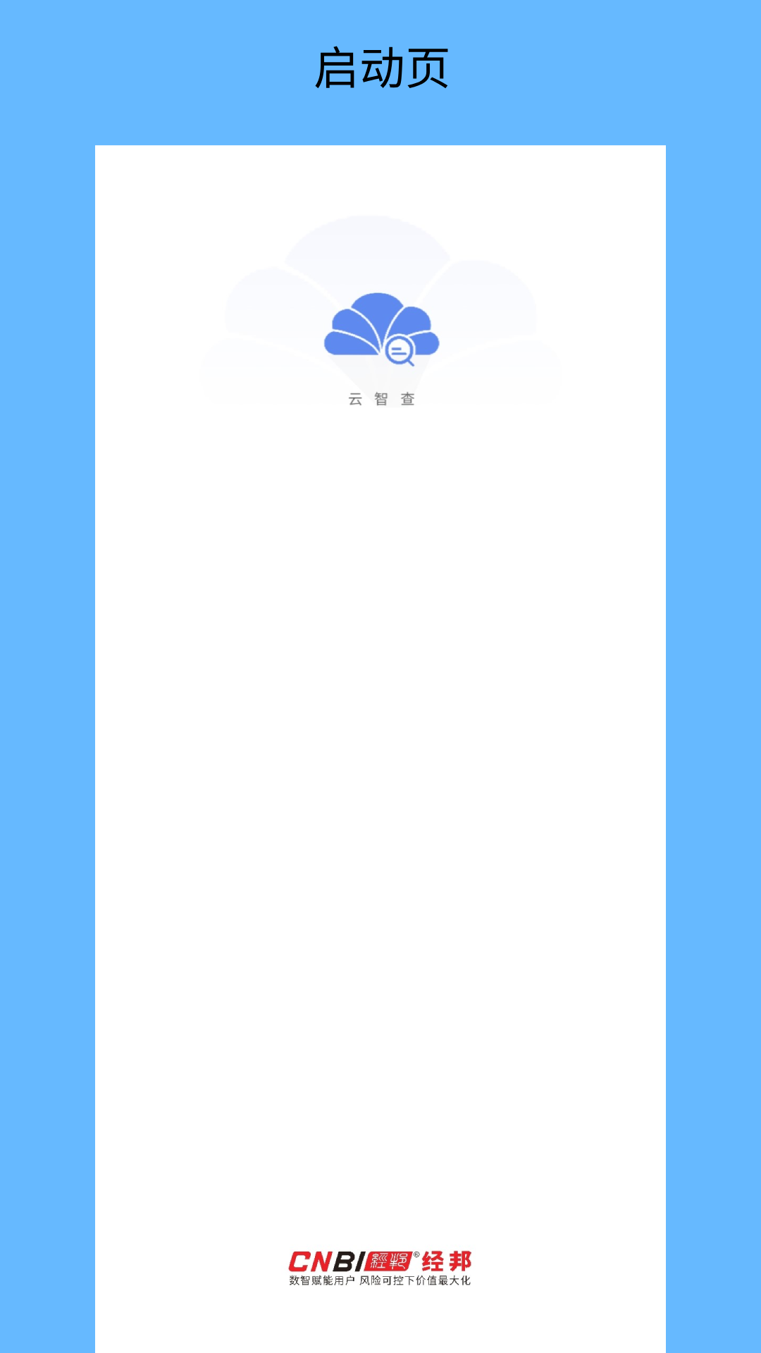 云智查