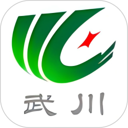 印象武川