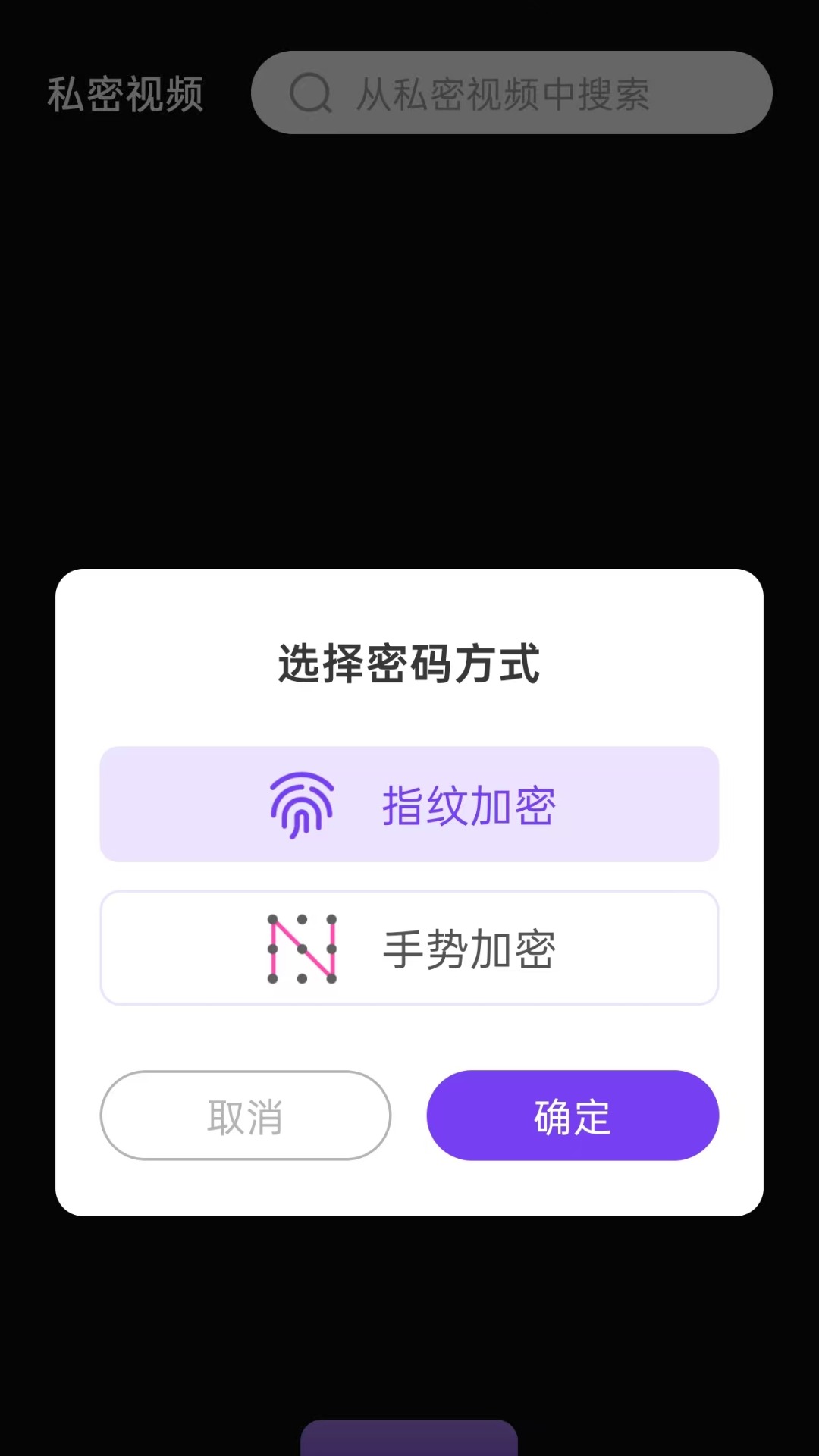 隐私快速播放器
