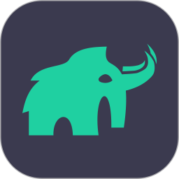 猛犸期权定价电脑版