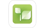 乾茶电脑版段首LOGO