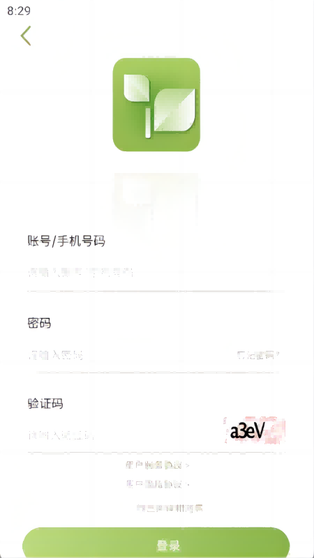 乾茶电脑版截图