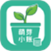 萌芽小账