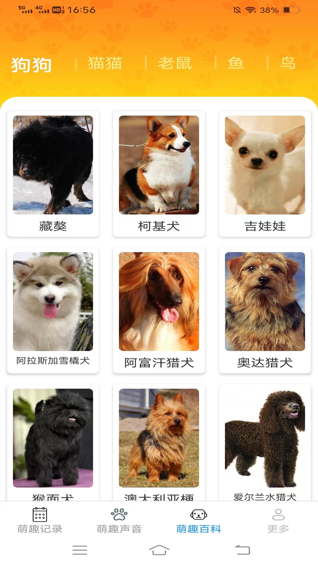 萌趣多多电脑版截图