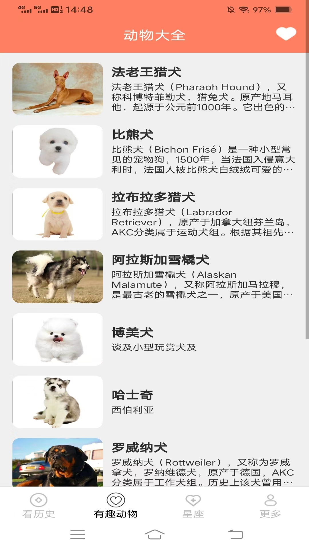 星熠畅看