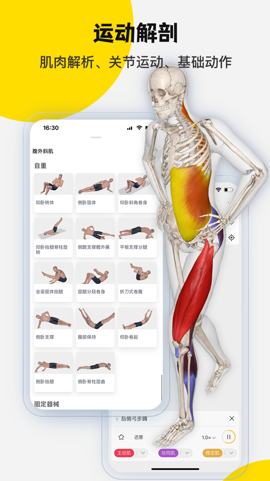 3dbody解剖学专业版