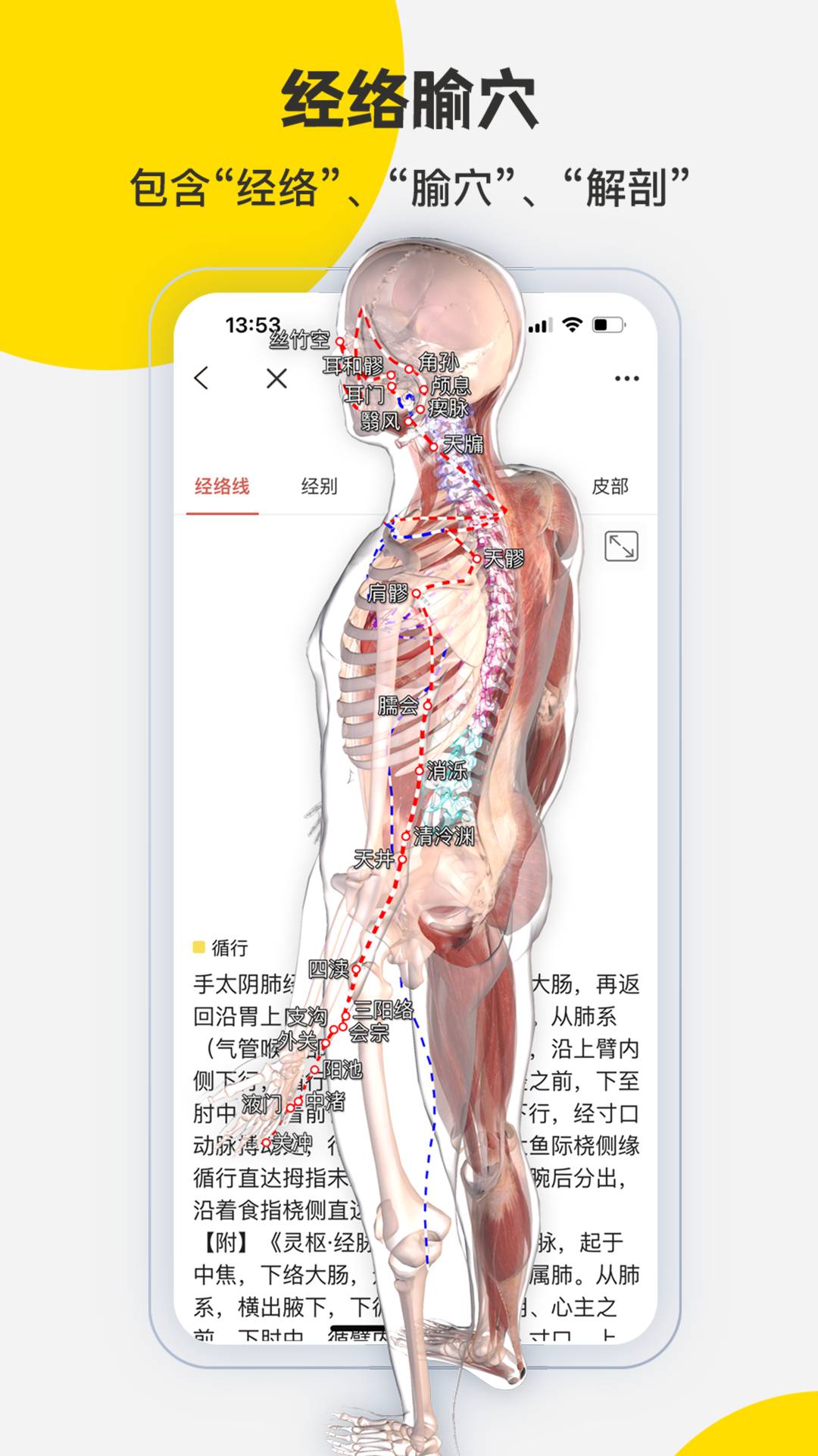 3dbody解剖学专业版