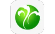 云上隆阳电脑版段首LOGO