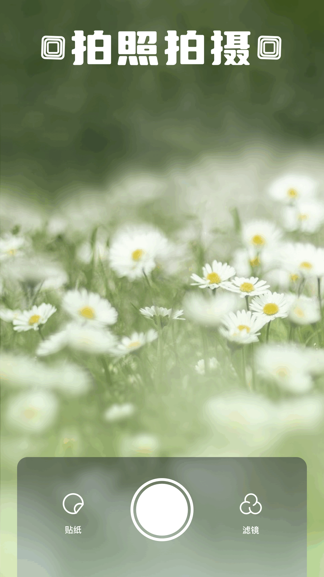 Z动漫电脑版截图