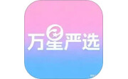 万星严选电脑版段首LOGO