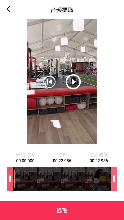 音频剪辑提取大师电脑版截图