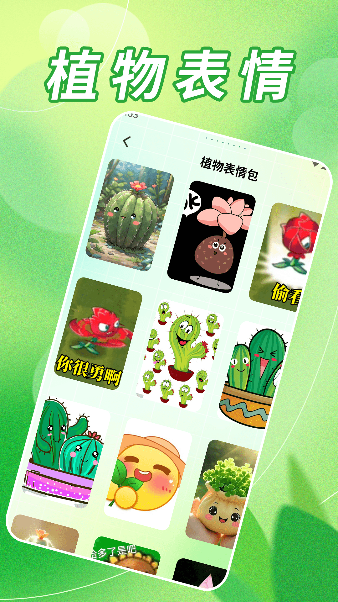 无忧小菜园