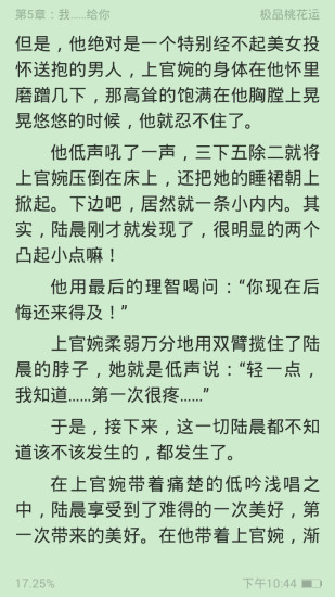 口袋小说电脑版截图