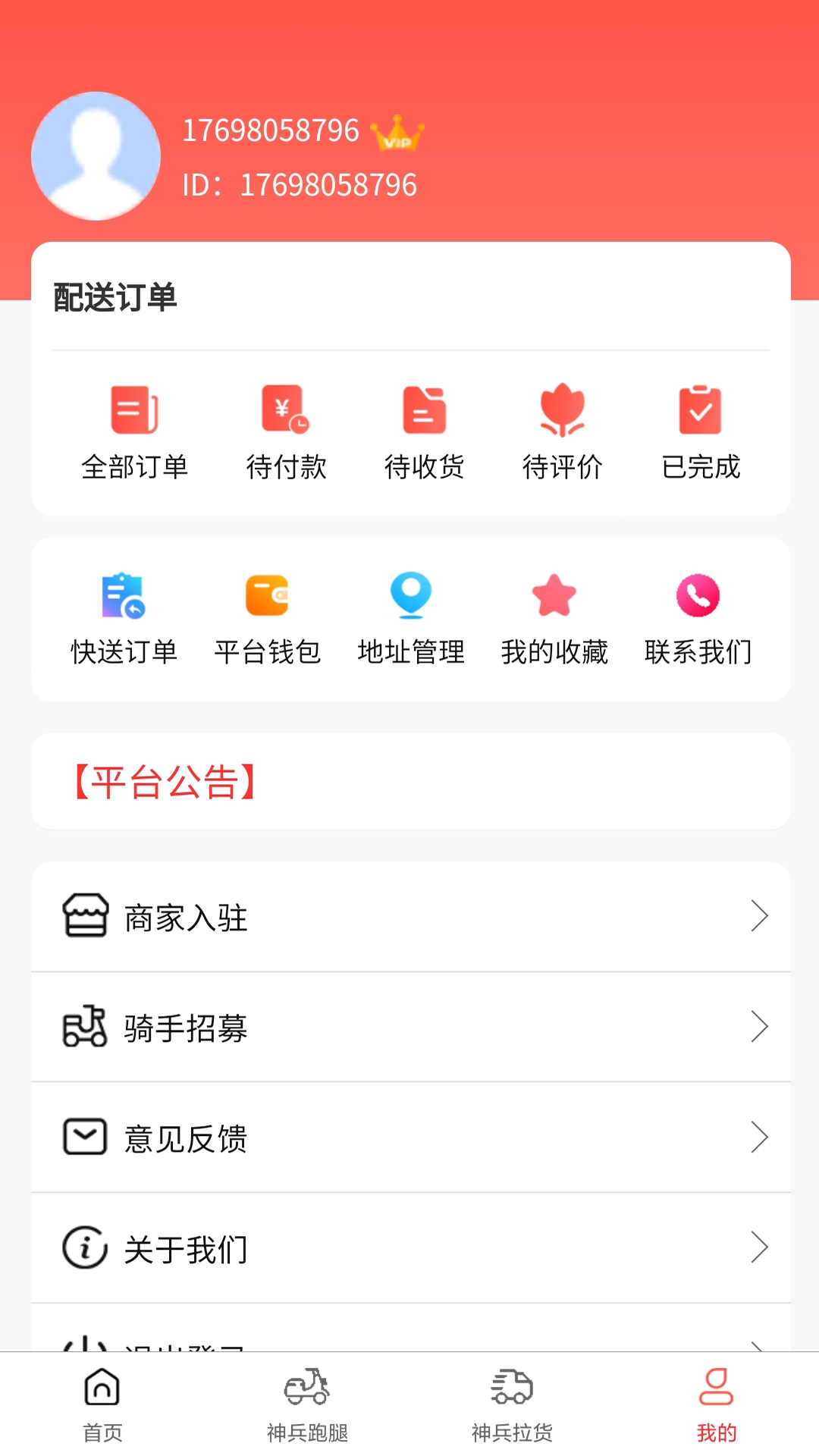 神兵跑腿电脑版截图