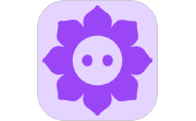 顺顺电脑版段首LOGO