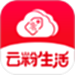 云粉生活