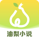 爱读掌阅电脑版