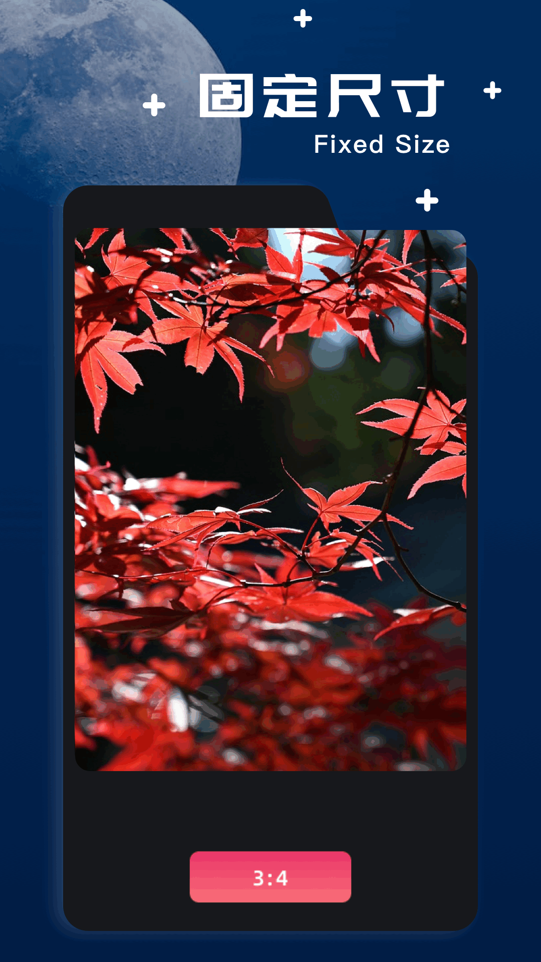 文件极客电脑版截图