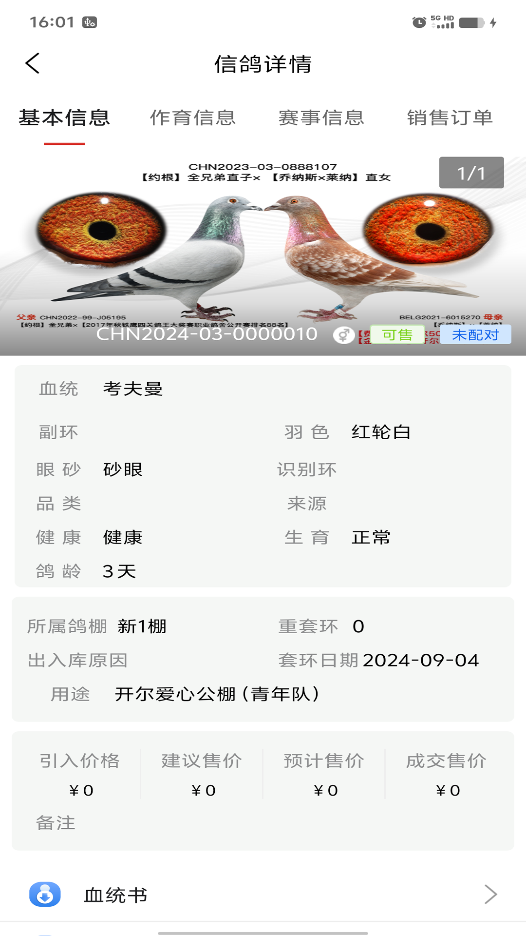 信鸽云