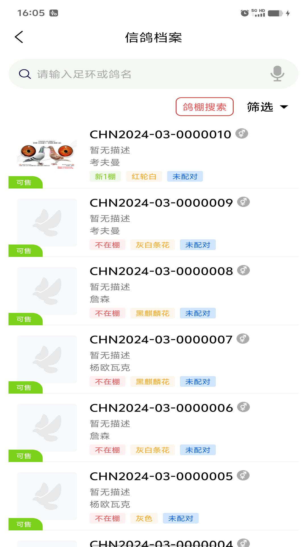 信鸽云