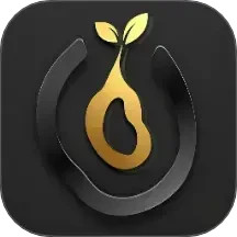 种子工具电脑版