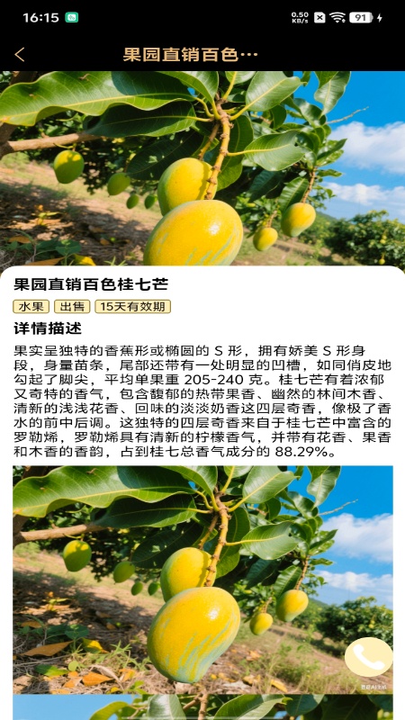 种子工具电脑版截图