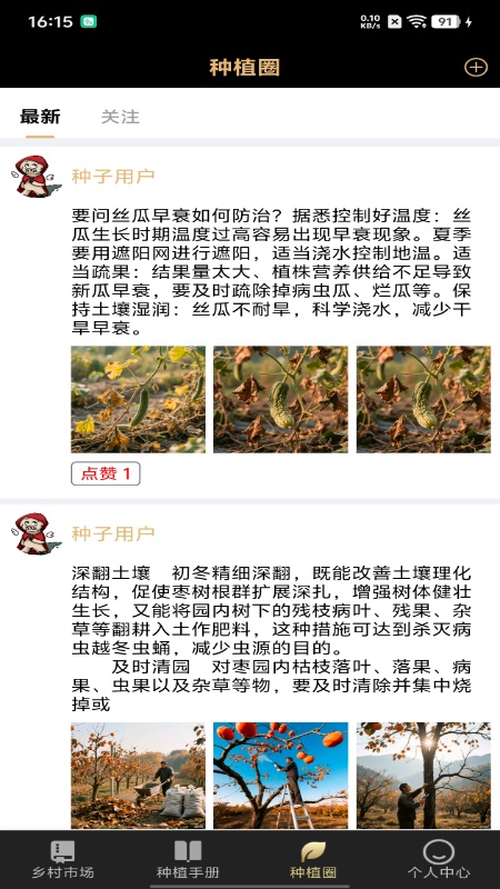 种子工具电脑版截图