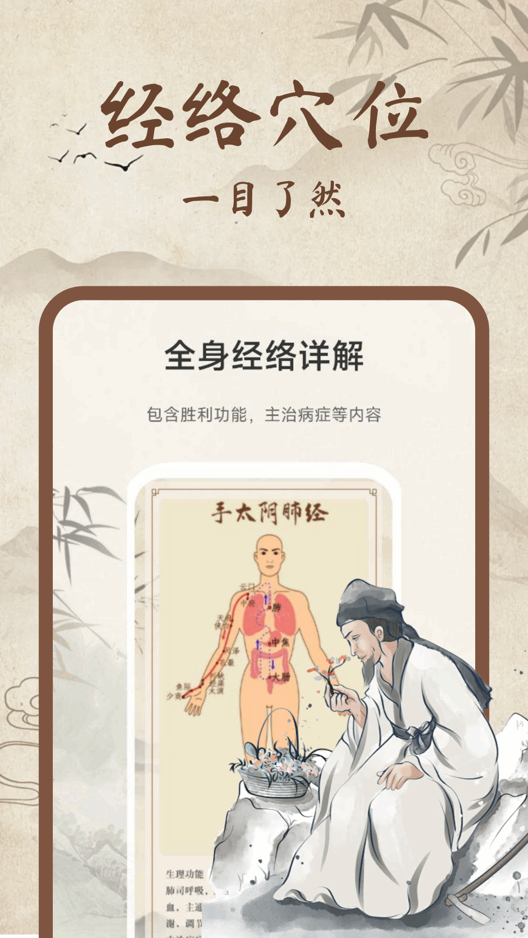 中医经络穴位图解