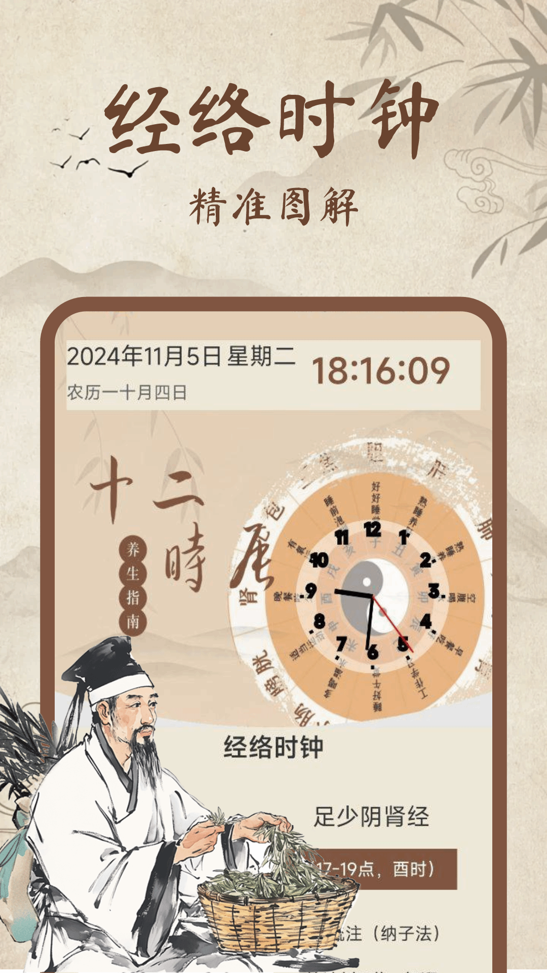 中医经络穴位图解