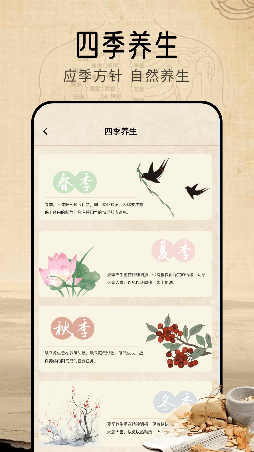 中医经络电脑版截图