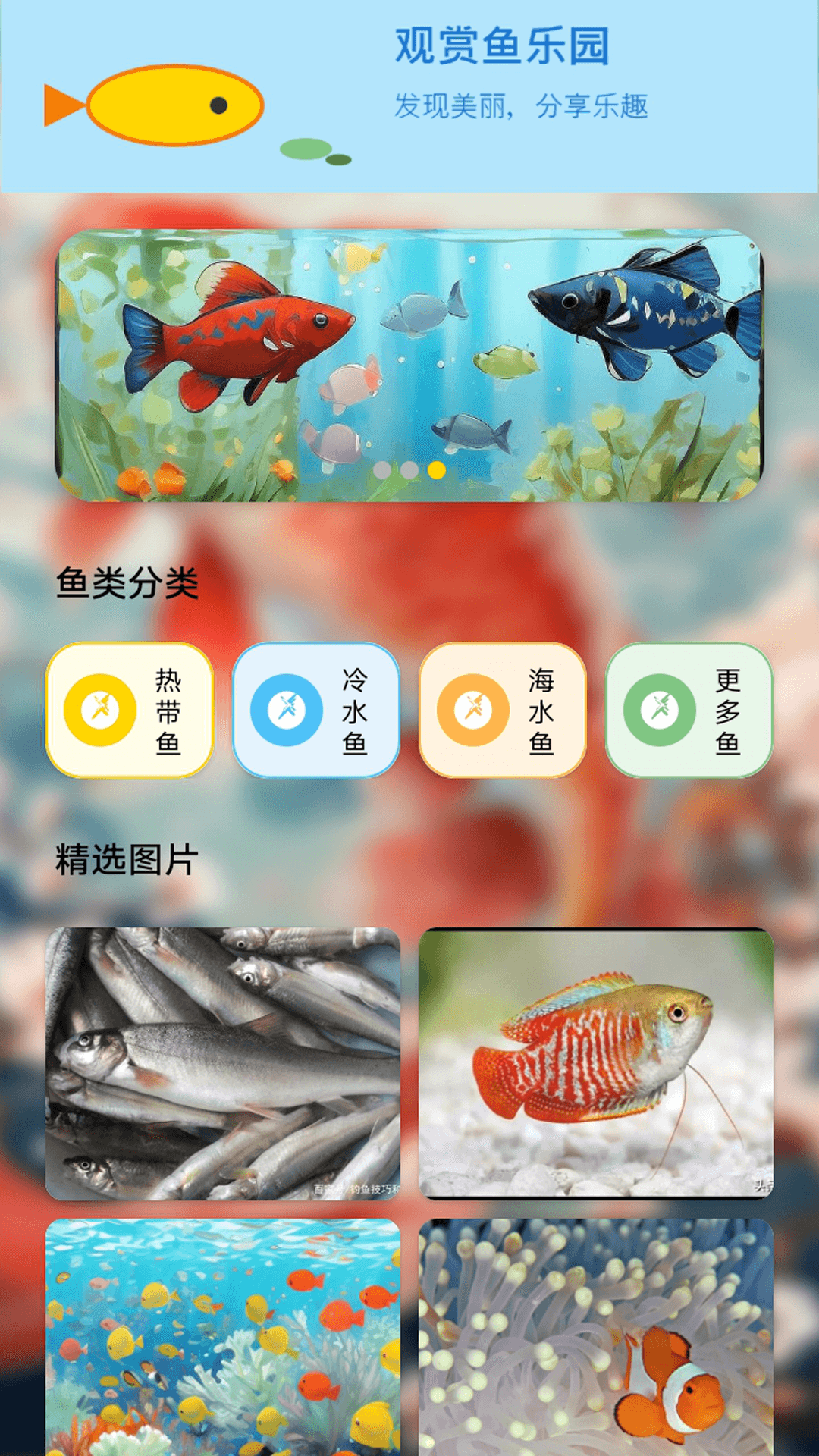 我我是小鱼儿