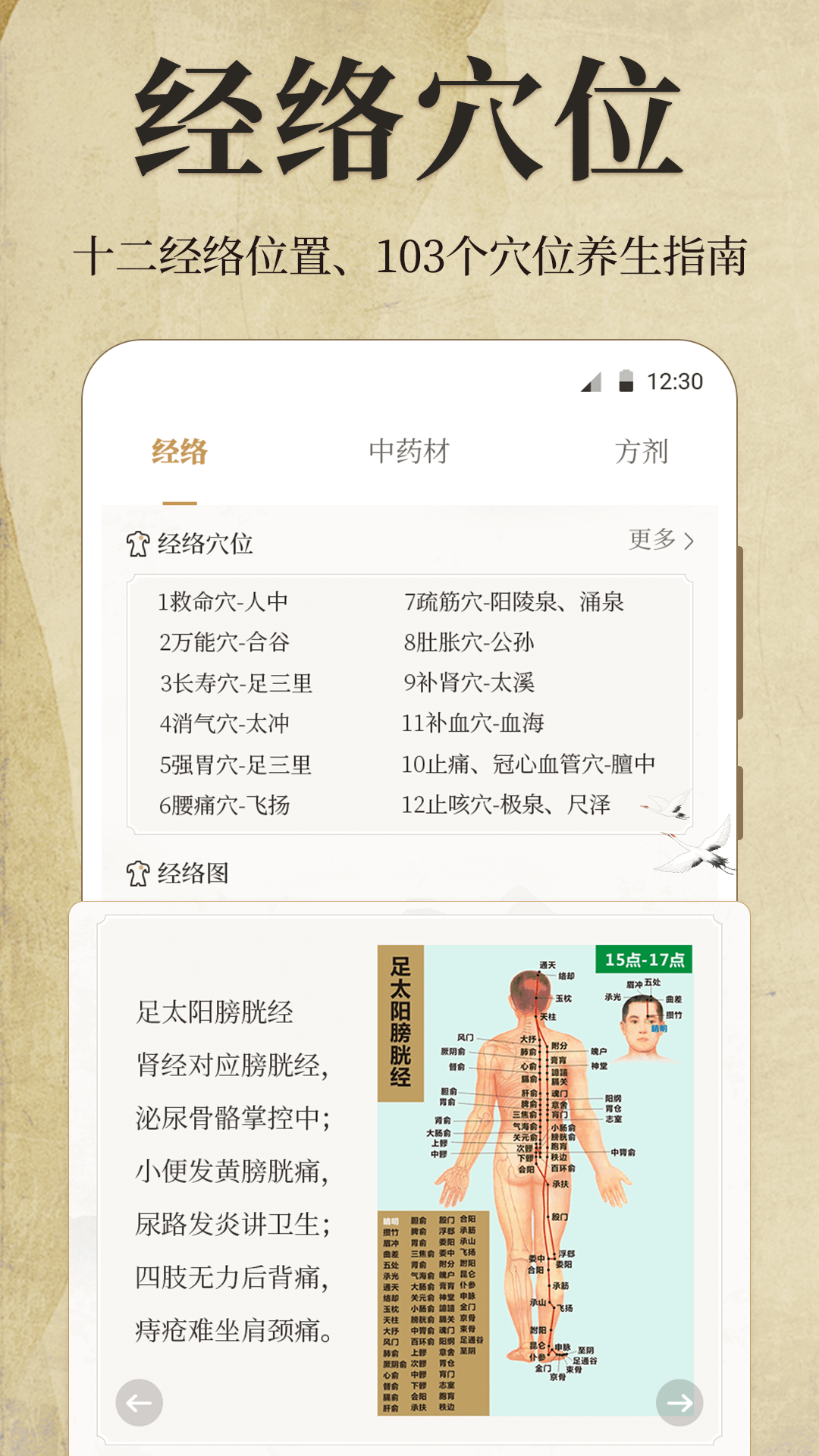 中医iBody经络穴位