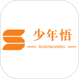 少年悟电脑版