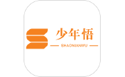 少年悟电脑版段首LOGO